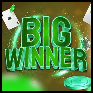 Big Winner Pro App Online